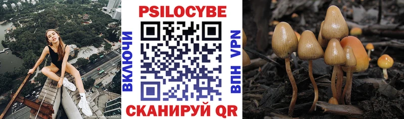 Галлюциногенные грибы Magic Shrooms  Электроугли 